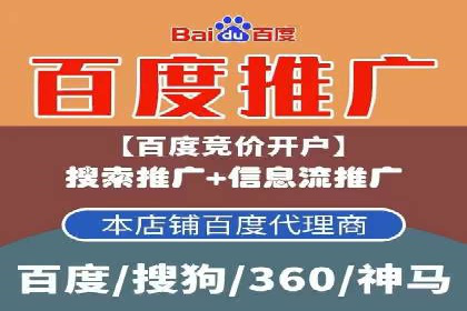 SEM专员的角色与成功案例解析